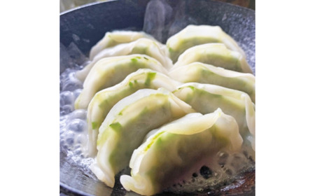 冷凍生姜餃子 100個入 【 ぎょうざ ギョーザ 自然栽培生姜 大容量 おかず 惣菜 】
