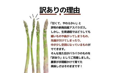 先行予約 訳あり アスパラガス 1kg 令和8年産 アスパラ アスパラ アスパラ アスパラ アスパラ アスパラ アスパラ JA002_01