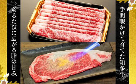 ＜生産直売＞知多牛 響 リブロース 炙り焼き セット 300g (冷凍) 焼肉