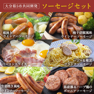＜定期便・全3回(隔月)＞おおいた 味力 ソーセージ セット(総量3.42kg) ウィンナー ベーコン 定期便 国産 冷凍 豚肉 鳥肉 詰め合わせ 惣菜 おかず お弁当 粗挽き あらびき 大分県 佐伯市【DP79】【まるひで】