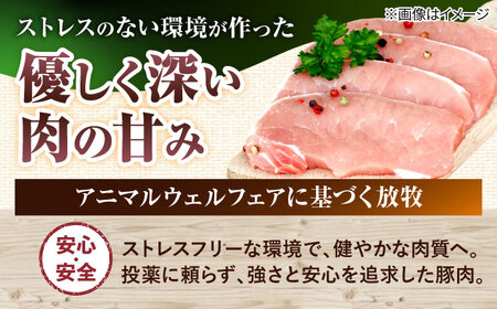 ソーセージ ハンバーグ 『命豚ソーセージ4種＆命豚ハンバーグ2種セット』  BCAR002 豚肉