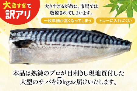 訳あり 塩サバ フィレ 5kg [足利本店 宮城県 気仙沼市 20565496]