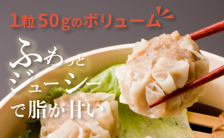 【北海道産ブランドSPF豚使用】若松しゅうまい大粒プレミアム 6個入り2パック セット 若松ポークマン 豚肉 シュウマイ 焼売 弁当 冷凍 チルド 蒸し せたな町 ふるさと納税  