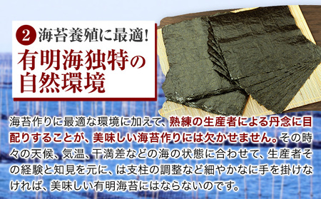 訳あり 海苔 のり 福岡有明のり全型10枚 10枚×1袋 《30日以内に出荷予定(土日祝除く)》海苔  海苔 福岡県産海苔 特産品有明海苔 訳あり海苔 のり 有明海産海苔 有明のり ミネラル  焼き海苔 焼海苔 おにぎり