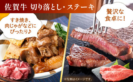 【全12回定期便】牛・豚・鶏 お楽しみ定期 総計13，920g 【肉の三栄】HAA145  肉セット 