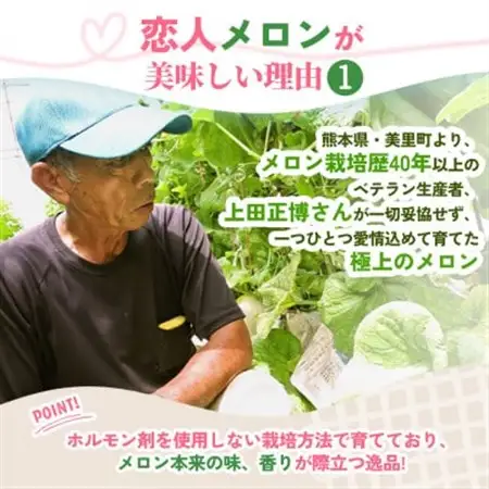 【先行受付】甘い!赤肉 稀少な上田農園の「恋人メロン」 計2.8kg以上(2玉～3玉)_高級 フルーツ 贈答 ギフト_【1623920】
