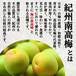 冷凍 梅 1kg 家庭用 / 南高梅 訳あり 黄梅 完熟梅 梅ジュース 梅酒 和歌山 ※7月上旬より翌年3月末まで順次発送 ※北海道・沖縄・離島への配送不可 【ikd510-c-1B】