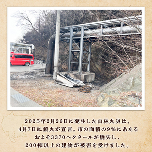 翡翠のしずく ストラップ 1個 ＼ 復興 ／