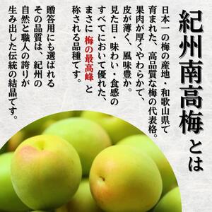 青梅 厳選 南高梅 5kg+250g（痛み補償分） / 梅 梅ジュース 梅酒 梅干し 高級 和歌山 ※5月~6月発送予定 ※北海道・沖縄・離島への配送不可 【ikd508-p-5G】