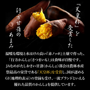 ～GI登録「さつまいも」使用～行方かんしょとれんこんのカレー(200g×10個)｜カレー レトルト レトルトカレー ご当地 ご当地カレー 人気 オススメ 便利 特産品 地元特産品 茨城県 行方市(AE-144)