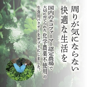 0021-99-01 パクチーエナジーゴールド 60粒×2袋 (40日分)