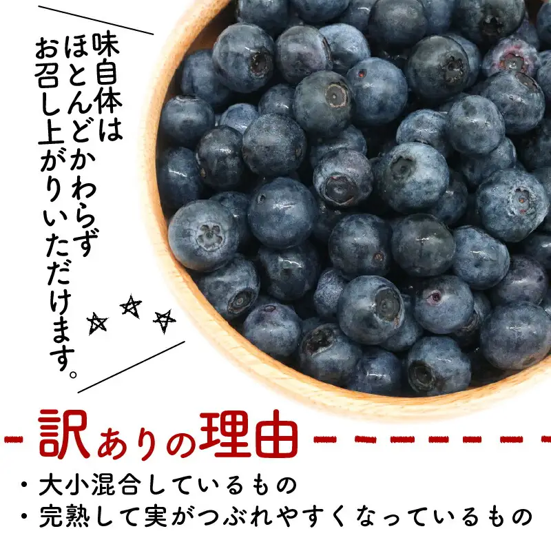 【先行予約】訳あり完熟生ブルーベリー ラビットアイ系 1800g (2026年7月～発送) | フルーツ 果物 ベリー