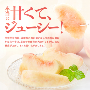 【収穫当日出荷】 長野県 飯田産 特選 完熟 桃 あかつき 約2kg【2026年7月中旬～8月下旬発送】