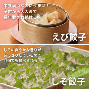 31ぎょーざやさんの餃子詰め合わせセット　（3種　しそ＋えび＋元祖　計108個）（027_5033）※北海道・沖縄・離島への配送不可