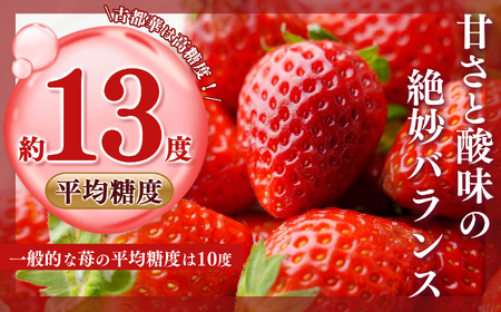 古都華 約540g （270g×2P）Lサイズ以上 