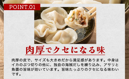 「人気・手包みイカ水餃子」【12個入】×3パック 剣先イカ専門店オリジナル