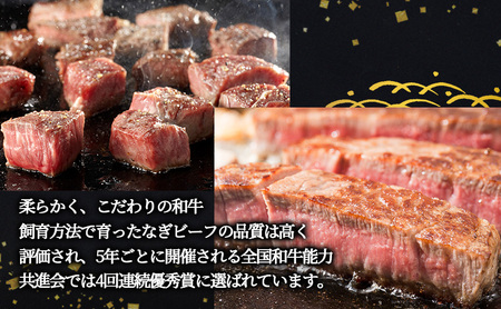 ステーキ 奈義和牛  ヒレステーキ 450g なぎビーフ 肉 お肉 牛肉 牛 和牛 岡山 国産