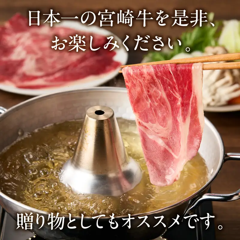 【定期便全12回】宮崎牛 匠の堪能コース 宮崎牛 黒毛和牛 切り落とし 赤身 しゃぶしゃぶ ロース カルビ 焼き肉 焼肉 スライス ステーキ 冷凍 毎月 定期便