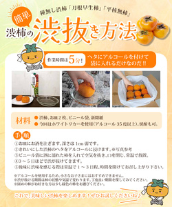 柿 【訳あり・ご家庭用】柿農園「渋柿隊」が直送 たねなし柿「渋あり」訳あり 約3kg【9月下旬～11月初旬頃順次発送】【CD-wann002A】
