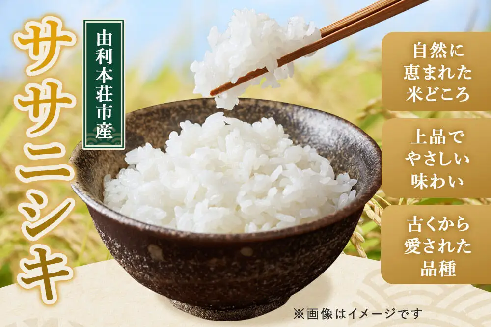 【白米】特別栽培米 ササニシキ 5kg（5kg×1袋）令和7年産