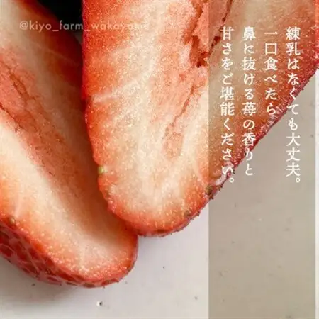 先行受付　大粒まりひめイチゴ　朝摘　6個～11個入×4パック【配送不可地域：離島】【1616659】