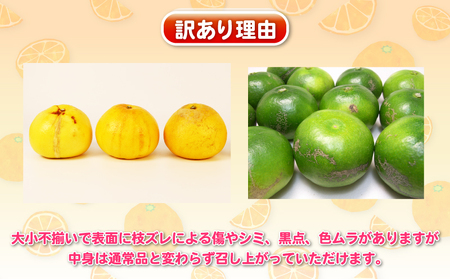 【訳あり 柑橘定期便】 全5回 杉本屋 柑橘定期便 B050-143025