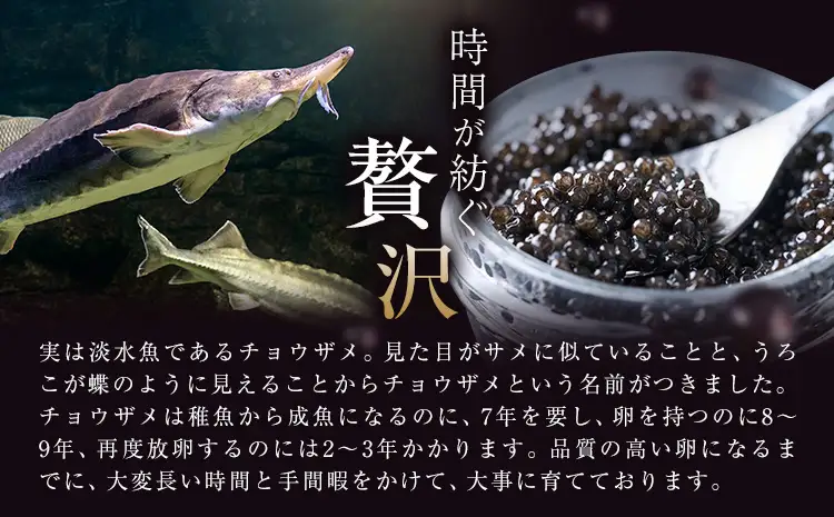 キャビア 純国産キャビア Voeu-Pense 1個 《12月中旬頃出荷》キャビアフィッシュカンパニー 高級 チョウザメ クラッカー バゲット パスタ 茨城県 河内町