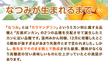 ＜先行予約＞初夏のみかん なつみ 約 5kg 株式会社 魚鶴商店 みかん 蜜柑