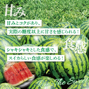 すいか 羅皇 ザ・スイート 2L（1玉入り） 西瓜 高糖度 シャリ感 甘い 夏限定 旬 フルーツ すいか 人気 産地直送 ギフト 茨城県 阿見町【先行予約｜2026年6月中旬より配送】(76-01）