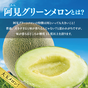 阿見グリーンメロン 4Ｌサイズ(3玉入り)(化粧箱) 青肉 高糖度 高級 甘い 夏限定 旬 フルーツ 果汁たっぷり 人気 産地直送 ギフト 茨城県 阿見町【先行予約｜2026年6月中旬より配送】（76-04）