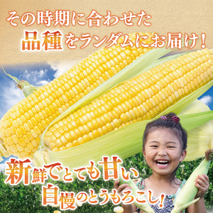 とうもろこし 9本～13本入り（約5kg）朝採れ 高糖度 甘い コーン 夏限定 旬 野菜 新鮮 人気 産地直送 お取り寄せ 茨城県 阿見町【先行予約｜2026年6月中旬より配送】（76-06）