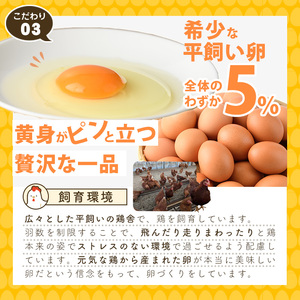 平飼い卵 なちゅら(計30個・10個×3P) 卵 玉子 鶏卵 卵かけご飯 玉子焼き【108800400】【カジワラファーム】
