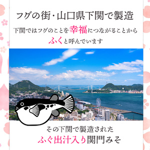関門 みそ チューブ セット 5袋 ふぐ出汁入り 詰め合わせ IV004-2 みそ みそ みそ みそ みそ