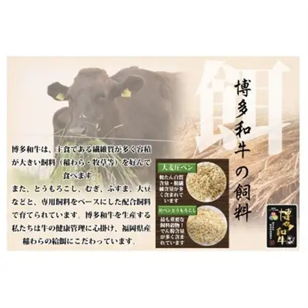 博多和牛 肩ロース焼肉用・スライス 各400g(水巻町)【配送不可地域：離島】【1602075】