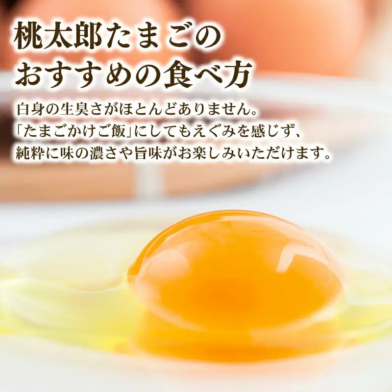 【6回定期便】桃太郎たまご 30個 たまご