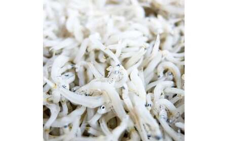 釜あげちりめんセット 1.5kg  タレ付き 500g×3袋 