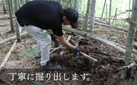 国産 たけのこ 水煮 1.5kg【2026年5月末終了】