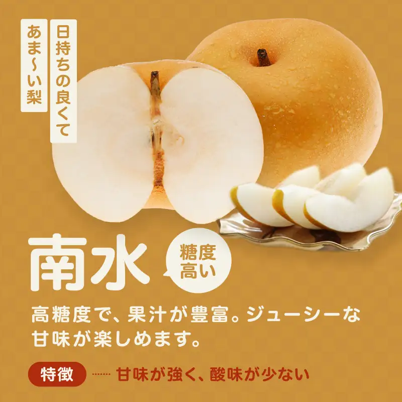 南信州産 南水 梨 秀品 約5kg 8～16玉 ＜2026年9月中旬～順次発送＞ ＪＡみなみ信州ＤＭセンター飯田市