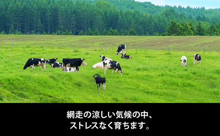 Rimo アイス カップソフトクリーム〈120ml×12個〉 ABA020 | アイス