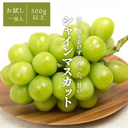 【発送月固定定期便】桃と葡萄(シャインマスカット)どっちも食べたい便!【お試し便】(岡山県産)全2回【配送不可地域：離島・北海道・沖縄県】【4067481】
