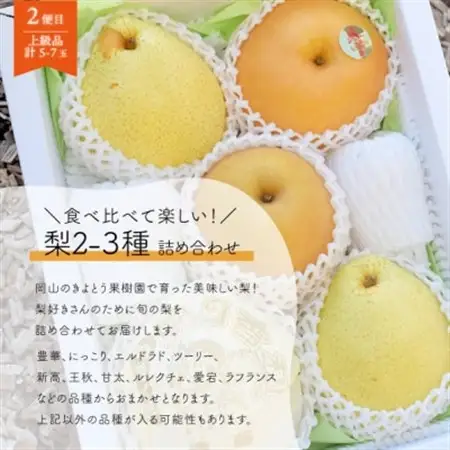 【発送月固定定期便】人気のシャインマスカットと希少品種の梨、フルーツ満足便!(岡山県産)全2回【配送不可地域：離島】【4067489】