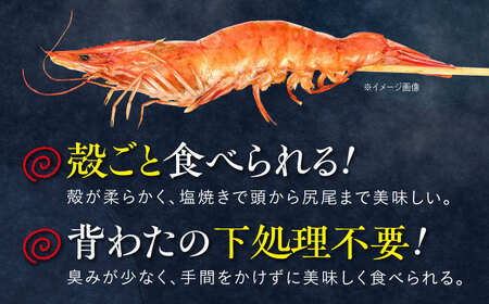 近江海老 600g(Sサイズ)[AQBA009]えび 近江海老 エビ