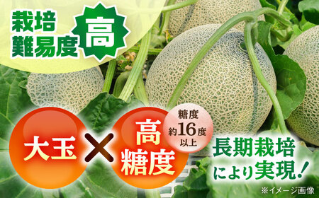 数量限定 肥後グリーメロン2玉計約4kg メロンめろん AYAC045