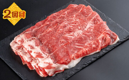 【全3回定期便】熊本あか牛ファミリー 計約2kgカルビ 焼き肉すき焼きしゃぶしゃぶミニステーキ[AYCB006]