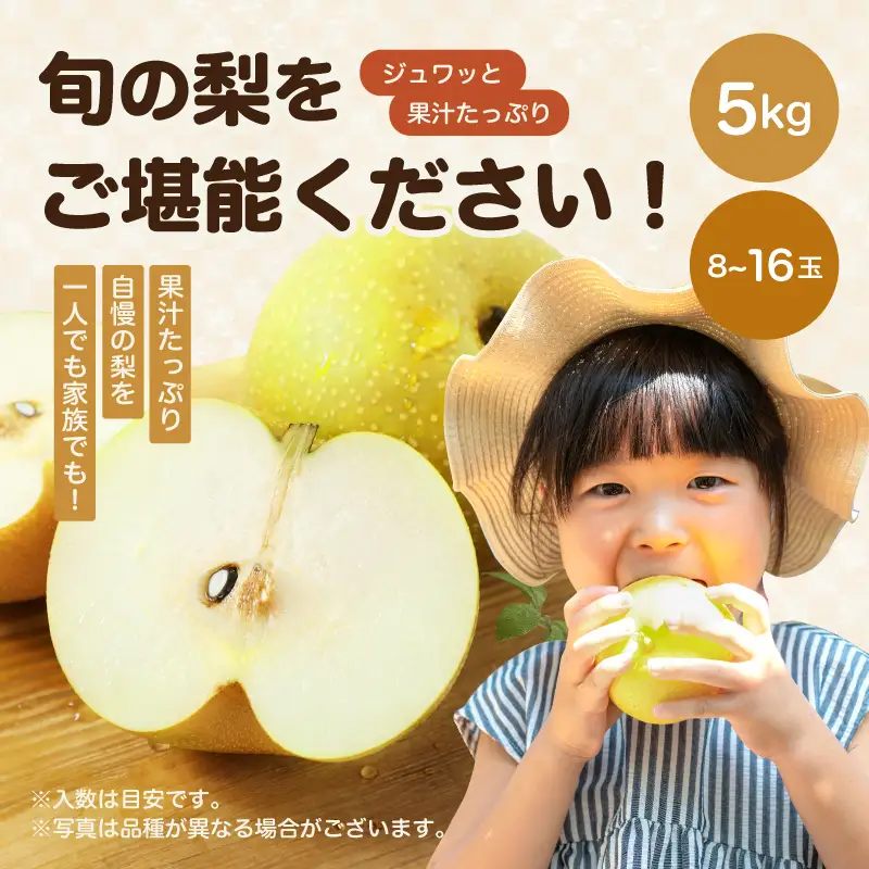 南信州産 幸水 約5kg 秀品 ＜2026年8月下旬～順次発送＞ ＪＡみなみ信州ＤＭセンター飯田市