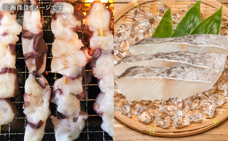 【中身は届いてからのお楽しみ】お魚お楽しみBOX 美海(5種） 