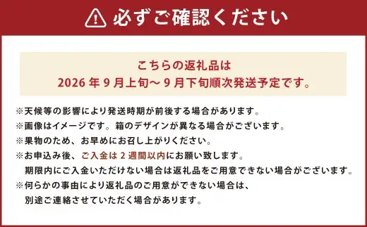 福岡県産 極早生みかん・早味かん 約4kg 早生 ミカン 果物 くだもの フルーツ 柑橘 かんきつ 【2026年9月上旬～9月下旬発送予定】