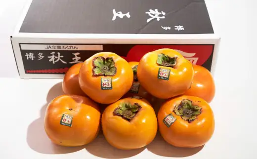 福岡県産ブランド柿・秋王 約1.5kg （4-6玉） 柿 カキ かき 果物 くだもの フルーツ 冷蔵 国産 岡垣町 【2026年10月下旬～11月下旬発送予定】