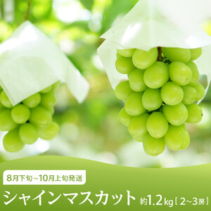 坂出市 旬のフルーツを味わう3回 定期便