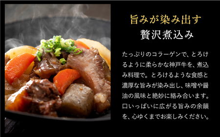神戸牛 すじ肉 600g（200g×3パック） 【帝神志方ミート】